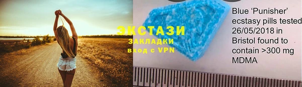 ECSTASY Богородск