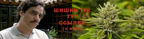 мескалин Надым