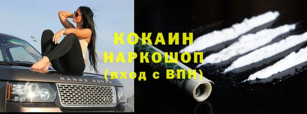 винт Богданович