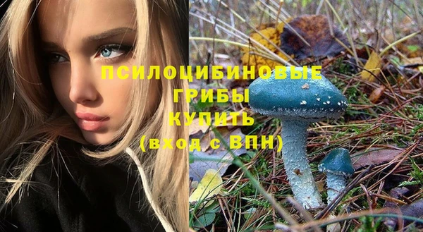 ГАЛЛЮЦИНОГЕННЫЕ ГРИБЫ Армянск