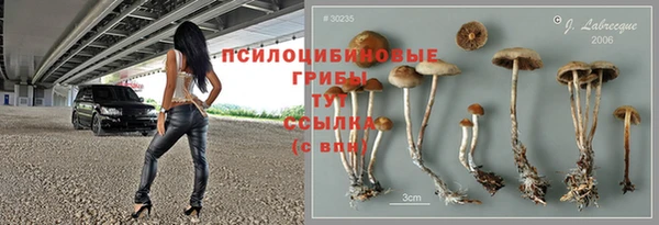 ECSTASY Богородск
