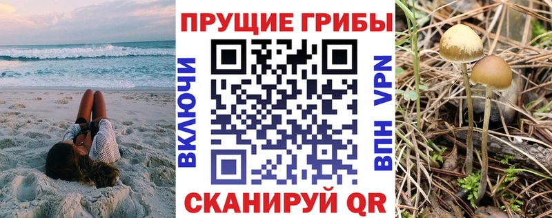 Галлюциногенные грибы мицелий  сайты даркнета официальный сайт  Спасск-Дальний  наркотики 